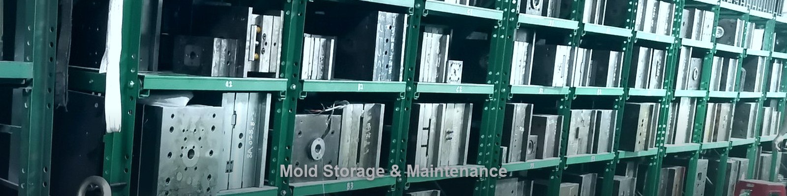 Mold storage and maintenance in warehouse